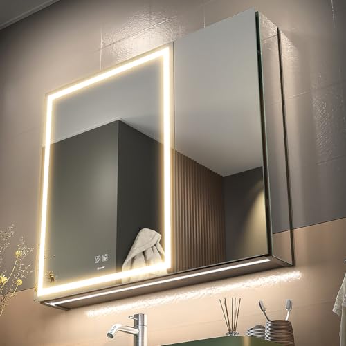 GANPE LED Lighted Bathroom Medicine