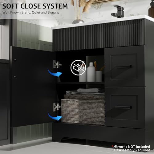eclife 30" Bathroom Vanities Sink view 5