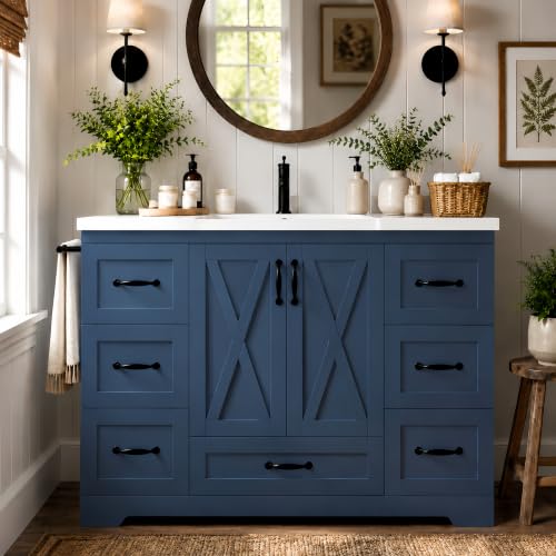 Bellemave 48" Bathroom Vanity with