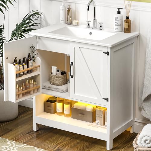 ELEVACHIC 30" Bathroom Vanity with